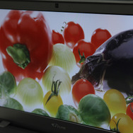 左右から覗き込むと若干明るさが落ちるが、色味は変わらず、見えづらさも感じない