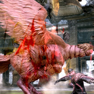 凶暴化したハーピー