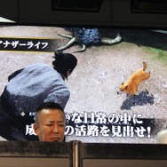 犬や猫を飼うこともできる