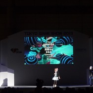 【東京ゲームショウ2013】一般公開初日のコスプレイベント「Cosplay Collection Night @ TGS」レポート