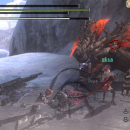 上級ミッション:「雷氷瀑布」