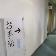 コヨコヨがごあんない！