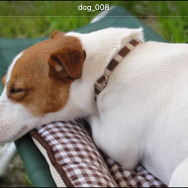 「nasne」内コンテンツをVitaでいつでもどこでも楽しめる様にするアプリ「naspocket」が無料配信開始