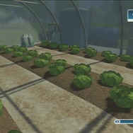 グリーンハウスでレタスの栽培。給水所から水を補充すると収穫量が増える