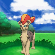 ♀は、子どもたちを守ります