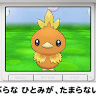 登場するポケモンは毎日日替わり