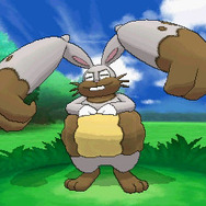 工事現場で大活躍