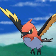 進化をして、ほのおタイプを持つように