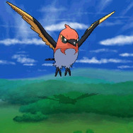 勇ましいその姿