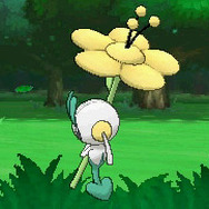 進化しても、共生している花の色は変わりません