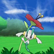 とくせいはフラワーベール