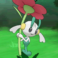 味方のくさタイプのポケモンを守る力を持ちます