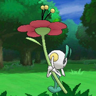 小さく軽いポケモンです