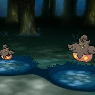 大きなバケッチャは小さなものの倍以上