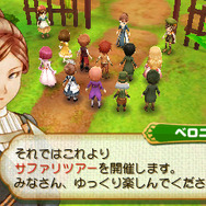 「サファリツアー」では何が待ち受けているのか