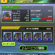 トレーニング画面。パートナー馬は、消えちゃいます。