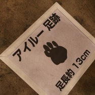 【モンスターハンターフェスタ’13】等身大のモンスターや足あとにハンターもビックリ、東京会場の盛り上がりをフォトレポートでお届け！