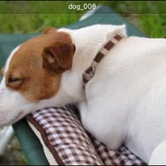 PS Vita TVのメディア向け体験会レポート!4KテレビやHMD、アドホック、nasneなどをチェック ― 「torne PS Vita TV」の配信も発表