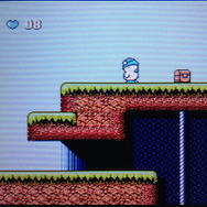 フィールドにはアイテムが点在していて、入手すると使用可能