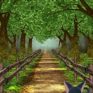 依頼をこなしてカードを手に入れ強化しよう