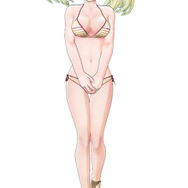 コスチューム「ばくだんビキニ」