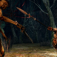 盾を構えつつ、攻撃できる槍