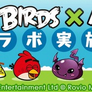 「Angry Birds x パズドラ」コラボロゴバナー