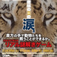 「夜の動物園と密林の王の涙 at よこはま動物園ズーラシア」