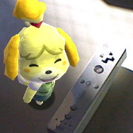 『いっしょにフォト どうぶつの森』のおまけがついた「ニンテンドープリペイドカード」発売開始―まめきち/つぶきち、しずえ、とたけけの3バージョン