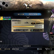 強化印籠を使えば成長も有利に