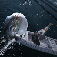 釣り「トラフグ釣り上げ」