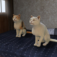 ペット「猫たち」