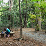 女子は山奥でゲーム実況をキャプれるか