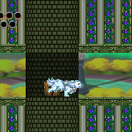 オオカミに変身して猛ダッシュ