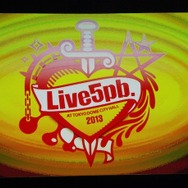 総勢18アーティストによる夢の共演!5pb.Recordsゆかりのアーティストが紡いだ5時間超えLIVE「Live5pb.2013」を写真たっぷりでお届け