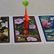 3匹揃って記念写真