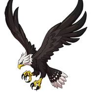 期間限定配信のレアソウル「ハクトウワシ」