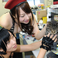 ウォーゲーミングジャパン広報大使“Hellcat軍曹”が編集部にやってきた【フォトレポ】