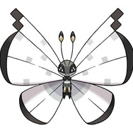 ひょうせつのもよう