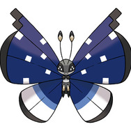 ゆきぐにのもよう