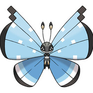 せつげんのもよう