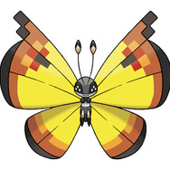 たいりくのもよう