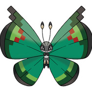 ていえんのもよう