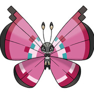 はなぞののもよう