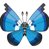 マリンのもよう