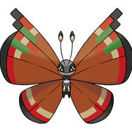 ぐんとうのもよう