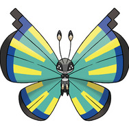 サバンナのもよう