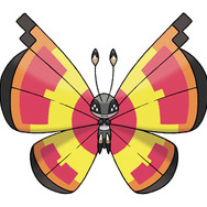 たいようのもよう