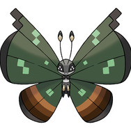 ジャングルのもよう