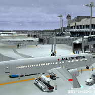 スポットに到着したJALの機体